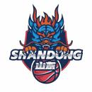 山东赤水河酒女篮logo