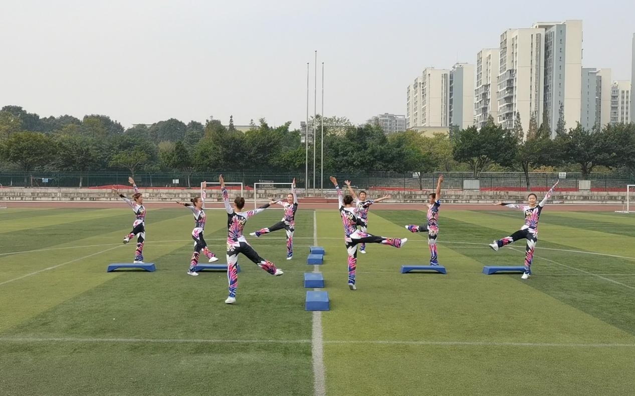 说明: 踏板
