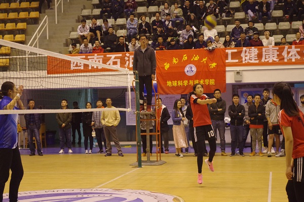 女排比赛现场