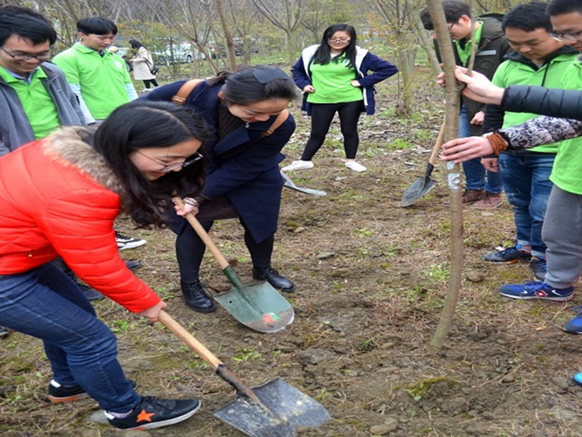 徐洪涛老师为樱花树填土