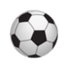 纳克斯科夫logo